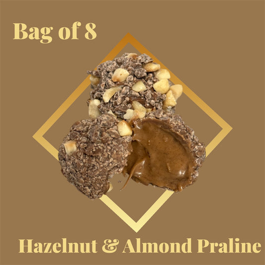 Hzalnut & Almond Praline with a whole Hazelnut